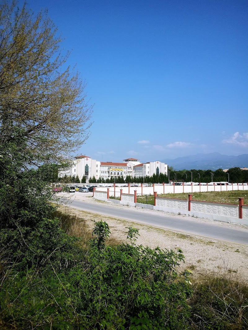 akyazı kız anadolu imam hatip lisesi logosu