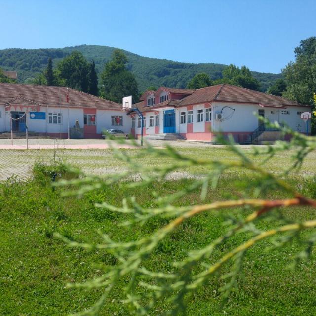 Ali Altıparmak İlkokulu logosu