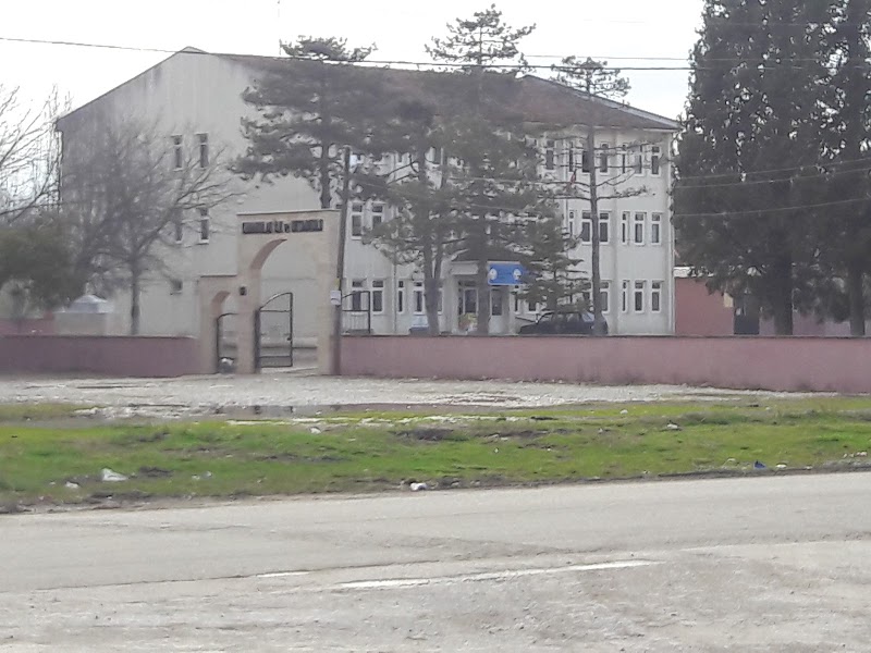 Anadolu Ilköğretim Okulu logosu