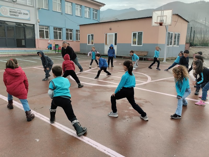 Mehmet Akif Ersoy İlkokulu/ Akyazı logosu