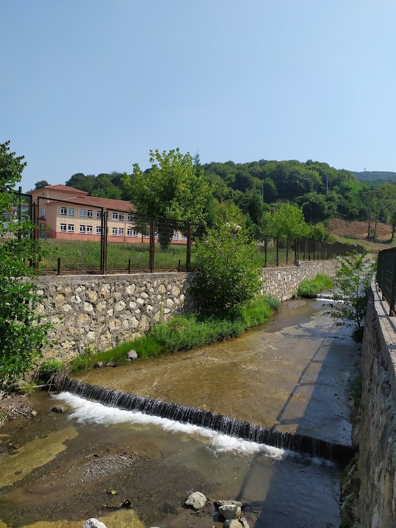 Pazarköy İlkokulu - Ortaokulu - İmam Hatip Ortaokulu logosu