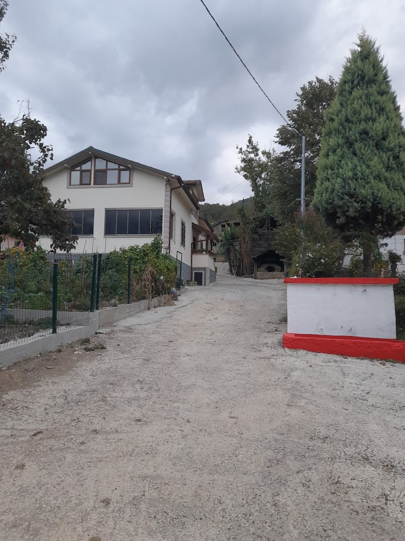 Sakarya Akyazı Dokurcan İlkokulu logosu