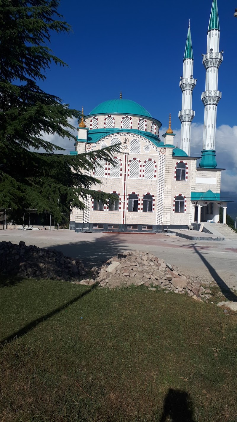 Taşağıl Ortaokulu logosu